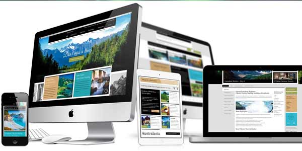 Website Design in Polson
